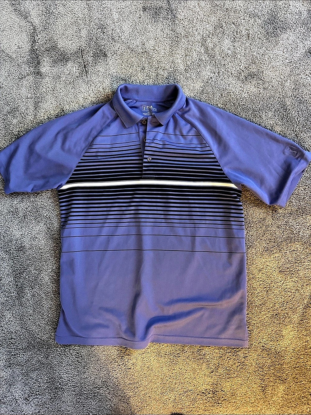 PGA TOUR Men's Striped Performance Golf Polo Purple & Black Medium